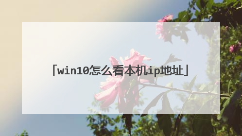win10怎么看本机ip地址