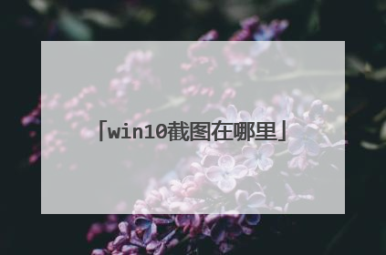 win10截图在哪里