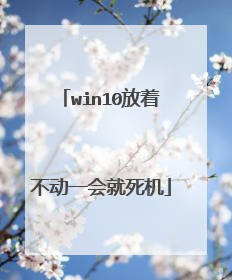 win10放着不动一会就死机