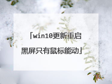 win10更新重启黑屏只有鼠标能动