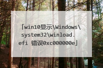 win10显示Windowssystem32winload.efi 错误0xc000000e