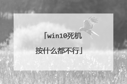 win10死机按什么都不行