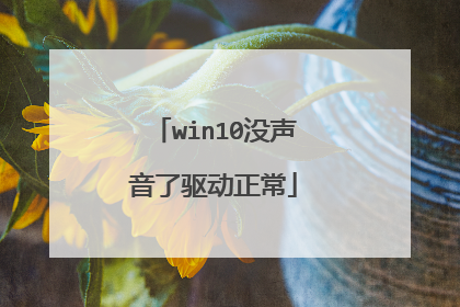 win10没声音了驱动正常