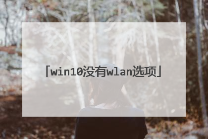 win10没有wlan选项
