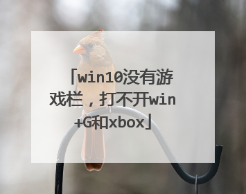 win10没有游戏栏，打不开win+G和xbox
