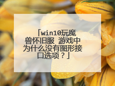 win10玩魔兽怀旧服 游戏中为什么没有图形接口选项?