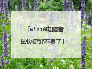 win10电脑音量快捷键不灵了