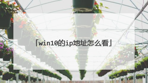 win10的ip地址怎么看
