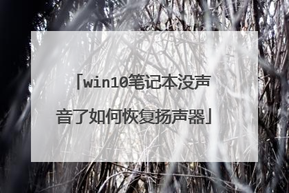 win10笔记本没声音了如何恢复扬声器