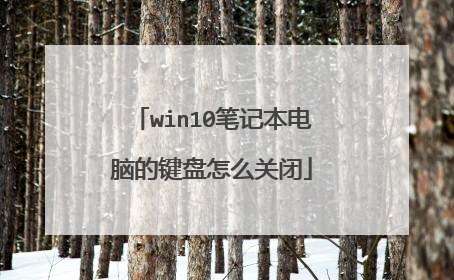 win10笔记本电脑的键盘怎么关闭