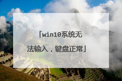 win10系统无法输入,键盘正常