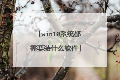 win10系统都需要装什么软件