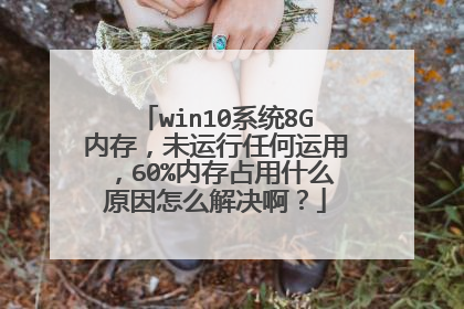 win10系统8G内存,未运行任何运用,60%内存占用什么原因怎么解决啊?