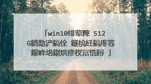 win10绯荤粺 512G鐨勫浐鎬佺‖鐩橈紝鎬庝箞鏍峰垎鍖烘瘮杈冨悎鐞�