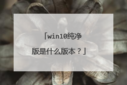 win10纯净版是什么版本？