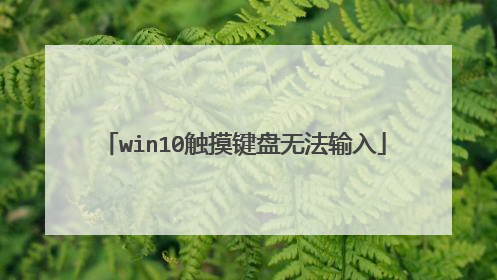 win10触摸键盘无法输入