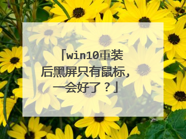 win10重装后黑屏只有鼠标,一会好了?