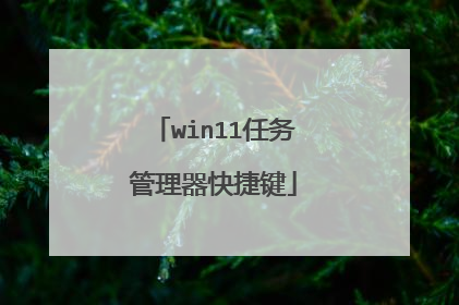 win11任务管理器快捷键