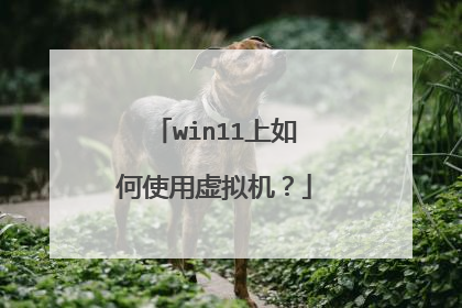 win11上如何使用虚拟机?
