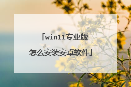 win11专业版怎么安装安卓软件