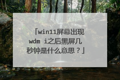 win11屏幕出现wdm i之后黑屏几秒钟是什么意思?
