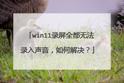 win11录屏全都无法录入声音,如何解决?