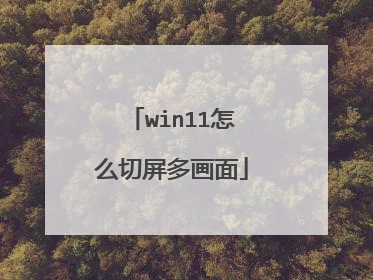 win11怎么切屏多画面