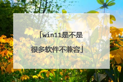 win11是不是很多软件不兼容