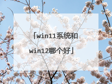 win11系统和win12哪个好