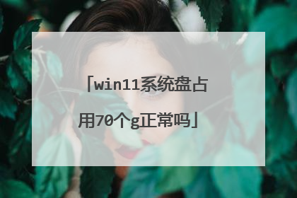 win11系统盘占用70个g正常吗