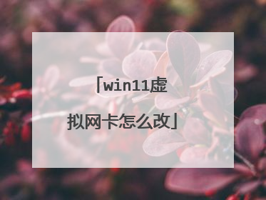 win11虚拟网卡怎么改