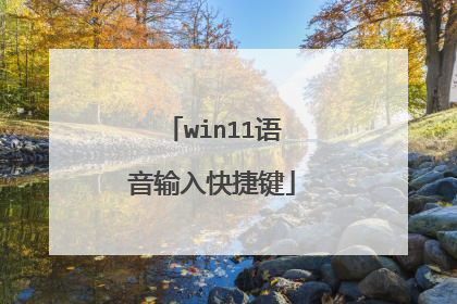win11语音输入快捷键