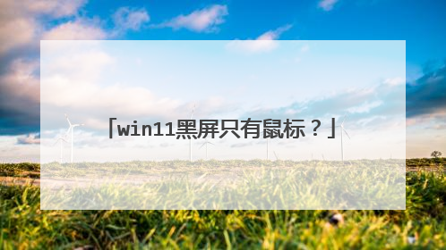 win11黑屏只有鼠标?