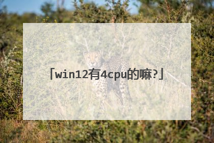 win12有4cpu的嘛?