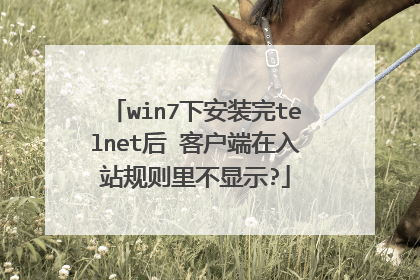 win7下安装完telnet后 客户端在入站规则里不显示?