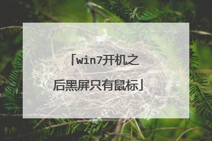 win7开机之后黑屏只有鼠标