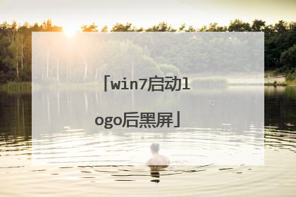 win7启动logo后黑屏
