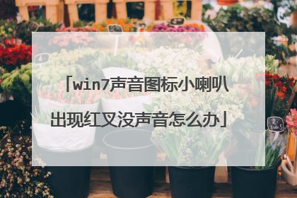 win7声音图标小喇叭出现红叉没声音怎么办