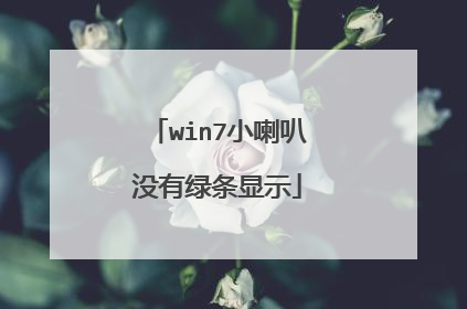 win7小喇叭没有绿条显示