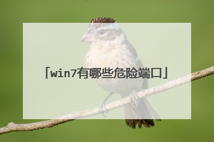win7有哪些危险端口