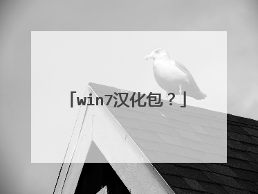 win7汉化包?
