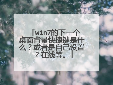 win7的下一个桌面背景快捷键是什么？或者是自己设置？在线等。
