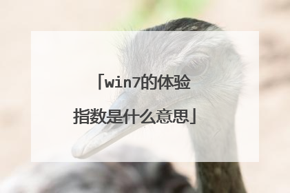 win7的体验指数是什么意思