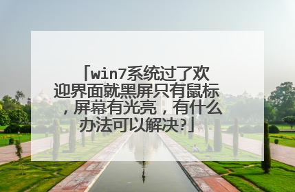win7系统过了欢迎界面就黑屏只有鼠标,屏幕有光亮,有什么办法可以解决?