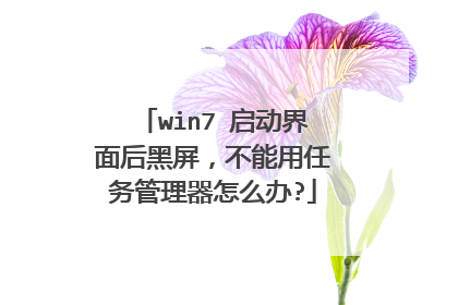 win7 启动界面后黑屏，不能用任务管理器怎么办?
