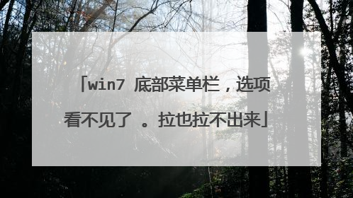 win7 底部菜单栏，选项看不见了 。拉也拉不出来