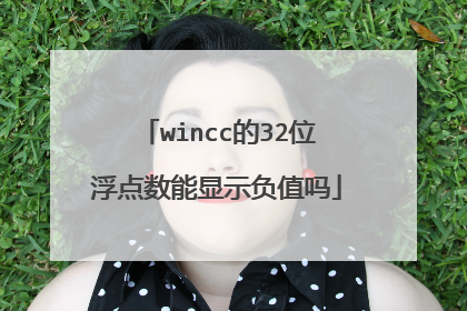 wincc的32位浮点数能显示负值吗