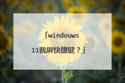 windouws11截屏快捷键？