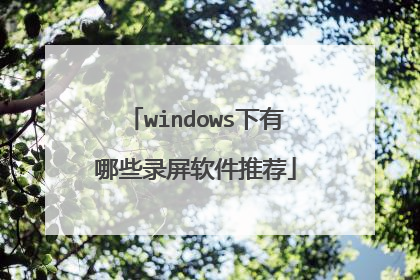 windows下有哪些录屏软件推荐