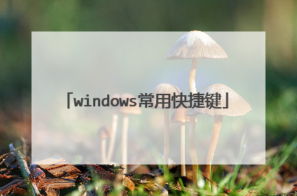 windows常用快捷键